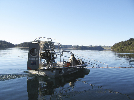 Submerged weed control, Lake Rotoma